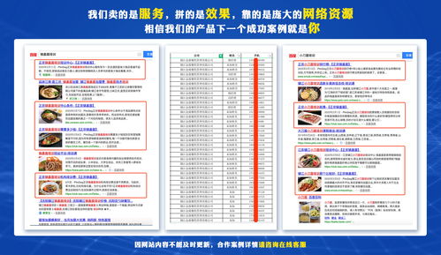 产品互联网推广手段 网络信息推广与销售的整合策略